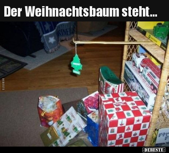Der Weihnachtsbaum steht... - Lustige Bilder | DEBESTE.de