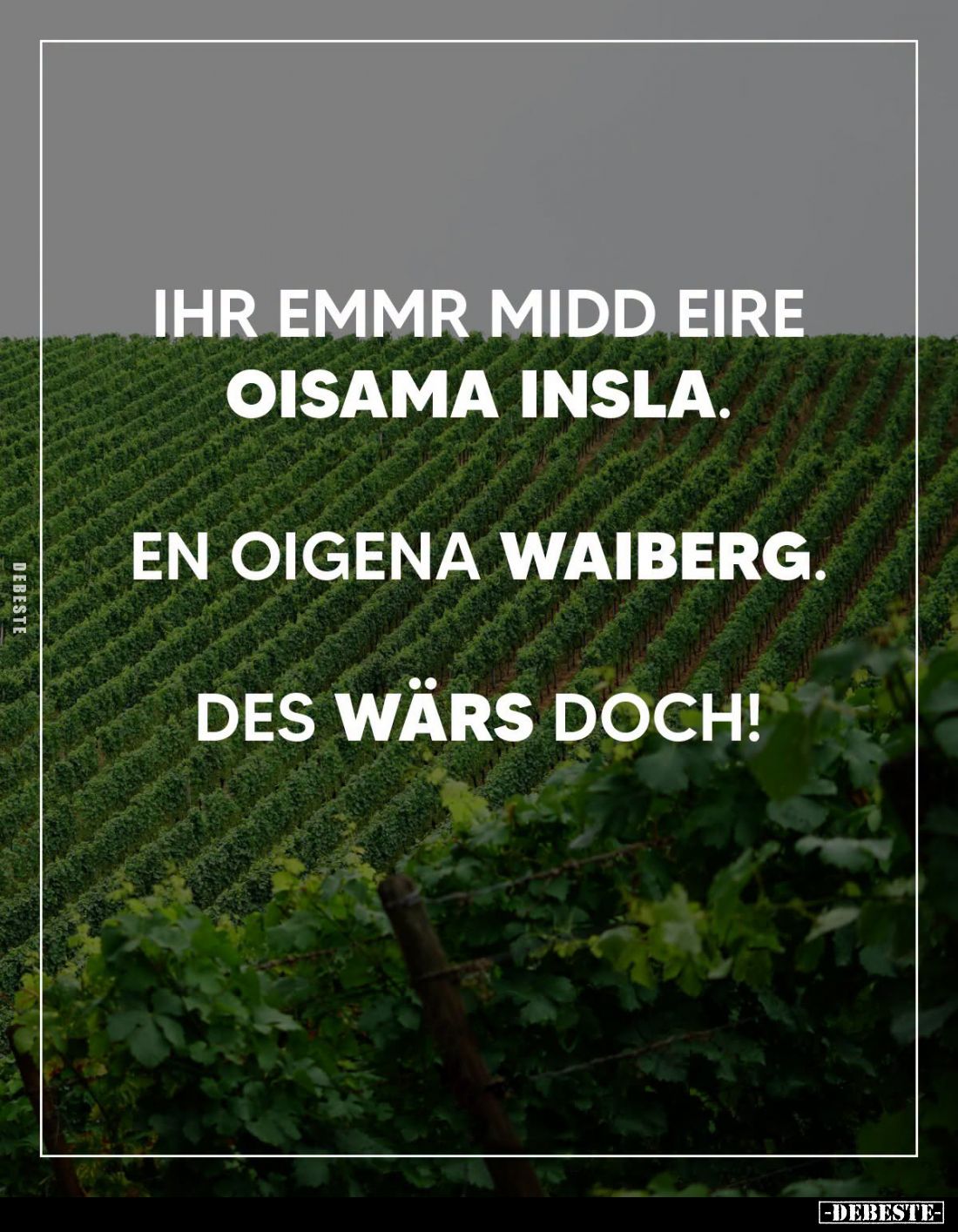 Ihr emmr midd eire oisama insla.
En oigena waiberg.
Des wärs doch!