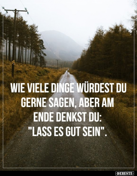 Wie viele Dinge würdest du gerne sagen, aber am Ende denkst..