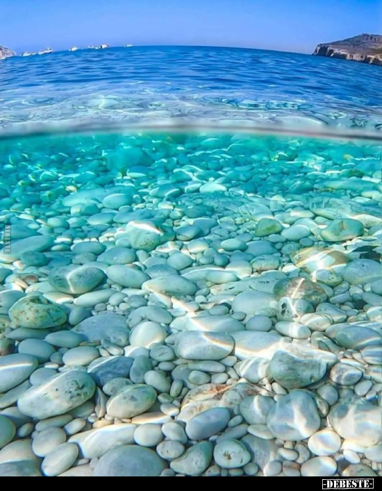  - Lustige Bilder | DEBESTE.de