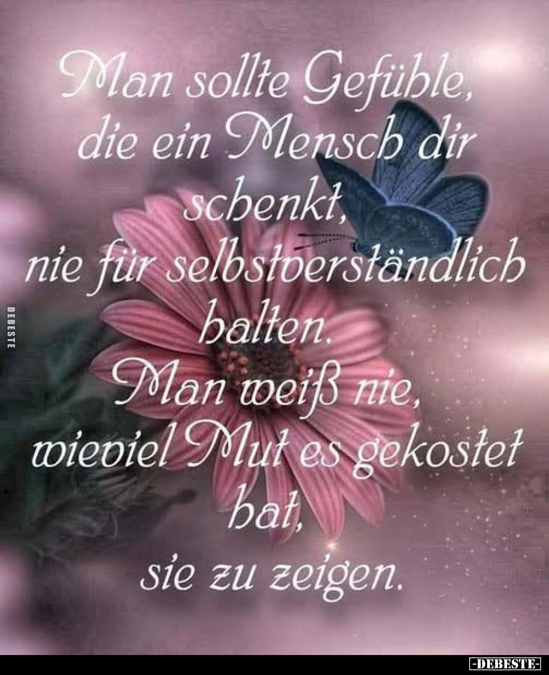 Man sollte Gefühle, die ein Mensch dir schenkt.. - Lustige Bilder | DEBESTE.de