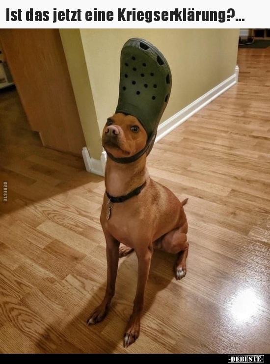 Ist das jetzt eine Kriegserklärung?...