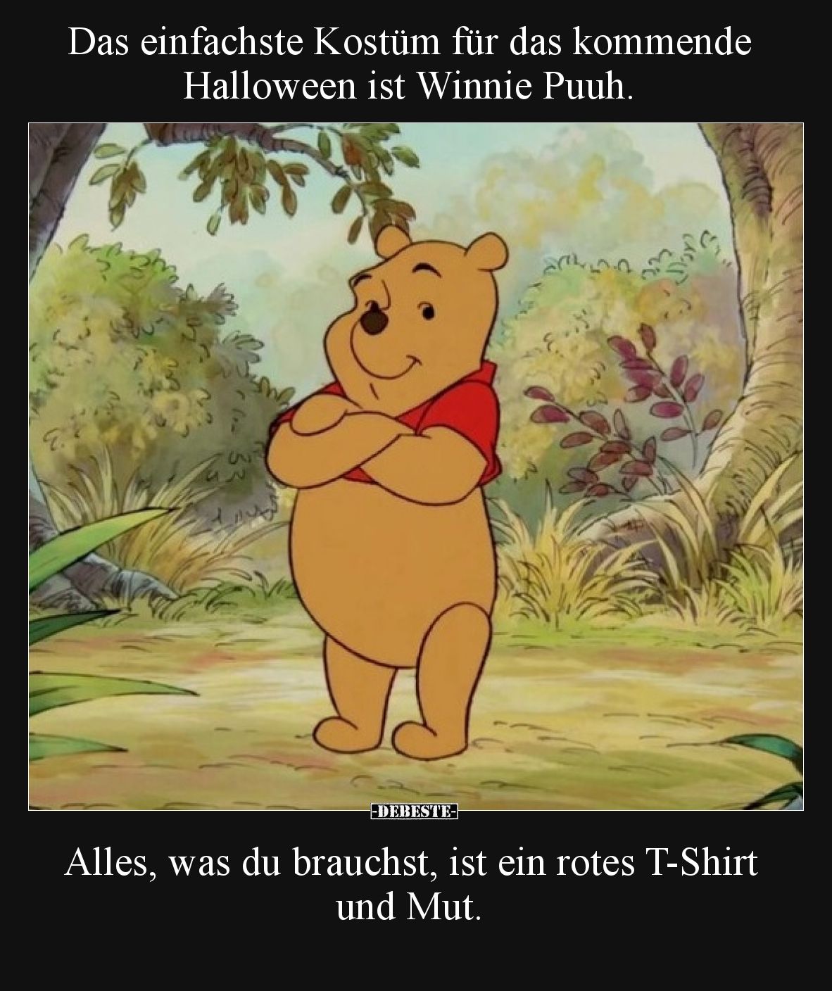 Das einfachste Kostüm für das kommende Halloween ist Winnie Puuh.

Alles, was du brauchst, ist ein rotes T-Shirt und Mut.