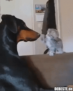 Was willst du von mir?