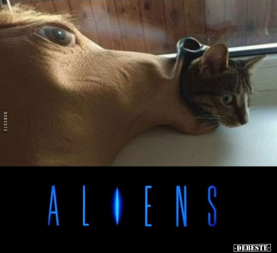 aliens lustig, katzen lustige bilder, pferde
