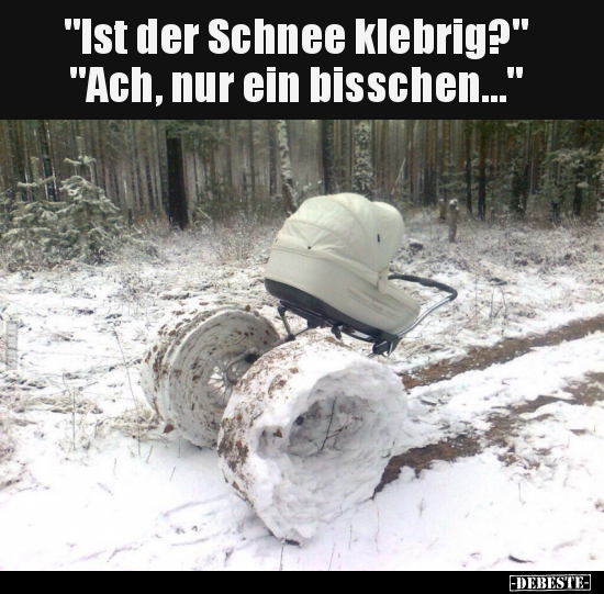 "Ist der Schnee klebrig?" "Ach, nur ein bisschen...".. - Lustige Bilder | DEBESTE.de