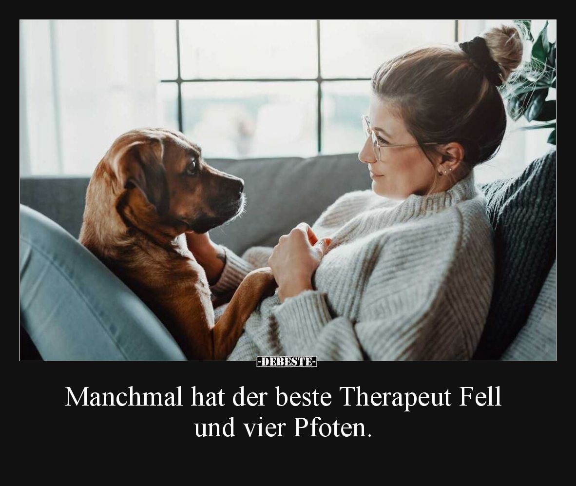 Manchmal hat der beste Therapeut Fell und vier Pfoten... - Lustige Bilder | DEBESTE.de