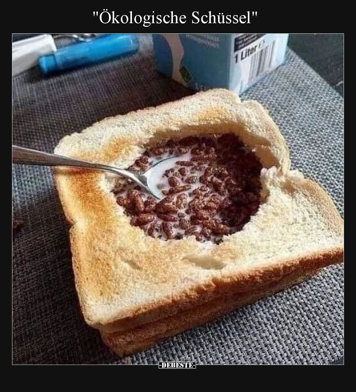 Ökologische Schüssel