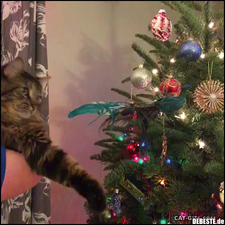 katzen weihnachtsbaum gif