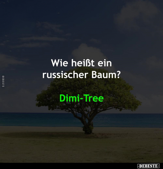 Wie heißt ein russischer Baum?.. - Lustige Bilder | DEBESTE.de