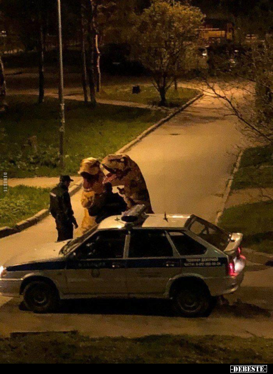  - Lustige Bilder | DEBESTE.de