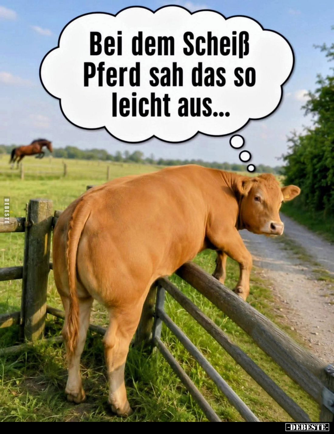 Bei dem Scheiß Pferd sah das so leicht aus...