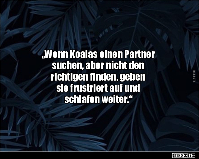 "Wenn Koalas einen Partner suchen, aber nicht den.." - Lustige Bilder | DEBESTE.de