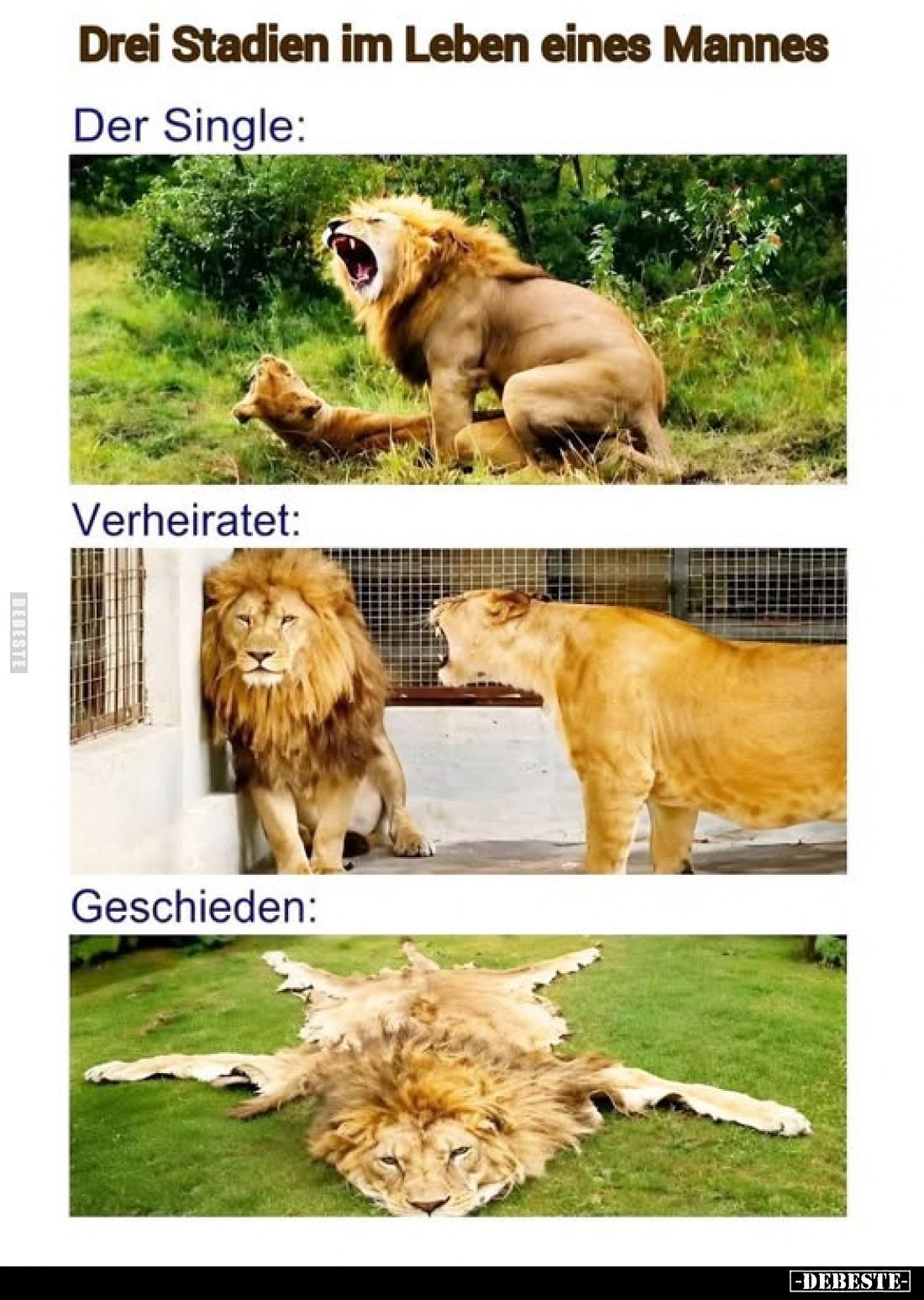 Drei Stadien im Leben eines Mannes
-
Der Single:
Verheiratet:
Geschieden:
