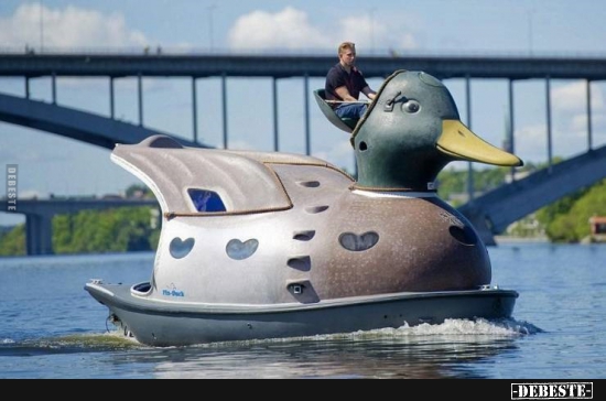  - Lustige Bilder | DEBESTE.de