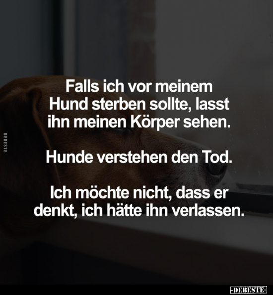 Falls ich vor meinem Hund sterben sollte.. - Lustige Bilder | DEBESTE.de