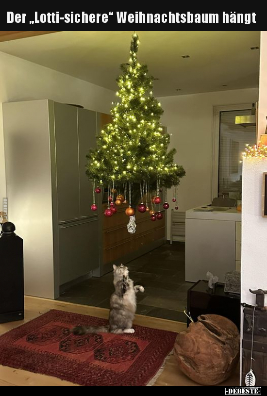 Der "Lotti-sichere" Weihnachtsbaum hängt... - Lustige Bilder | DEBESTE.de