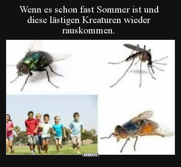 Wenn es schon fast Sommer ist und diese lästigen Kreaturen..