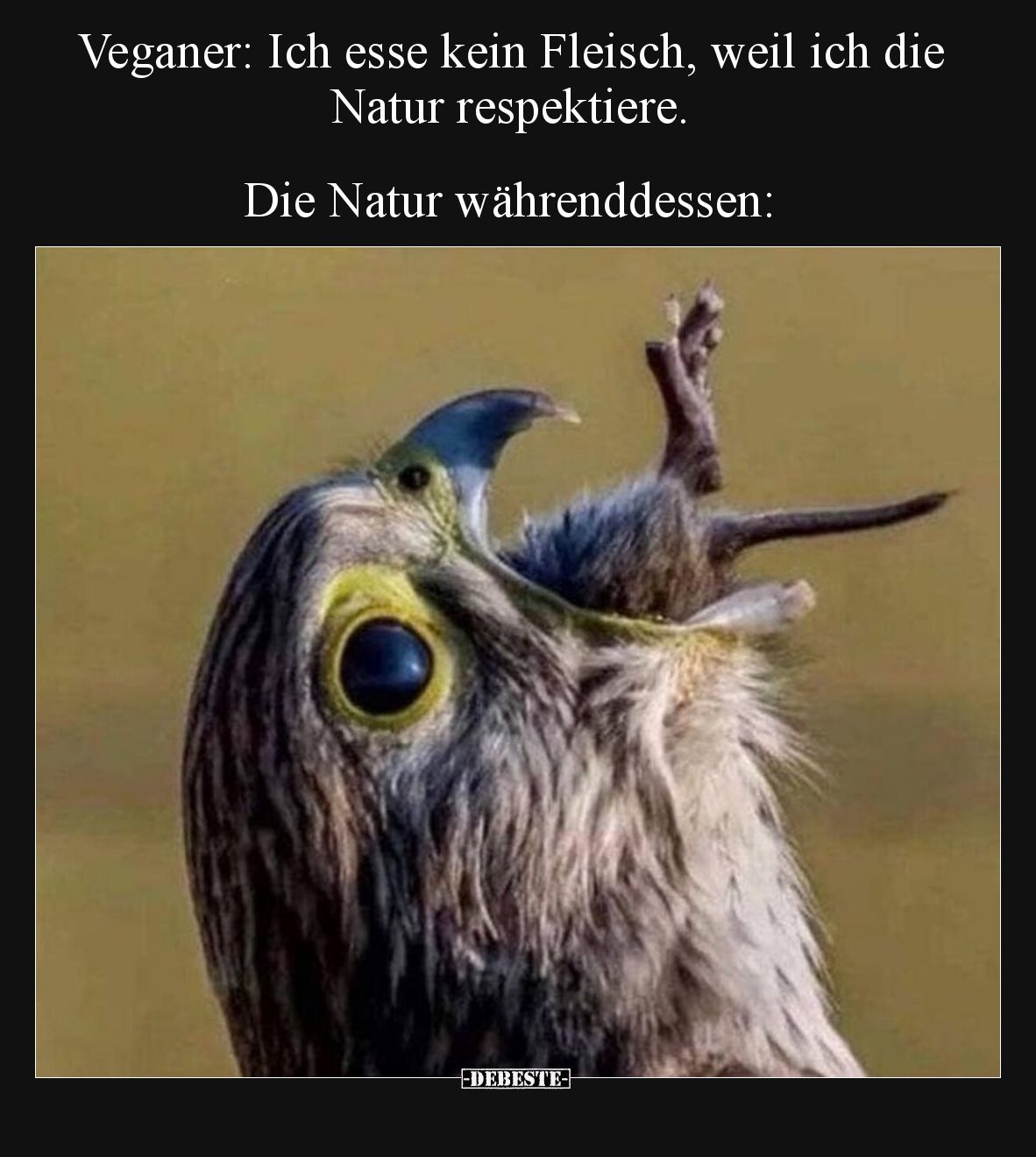 Veganer: Ich esse kein Fleisch, weil ich die Natur respektiere.  Die Natur währenddessen:
