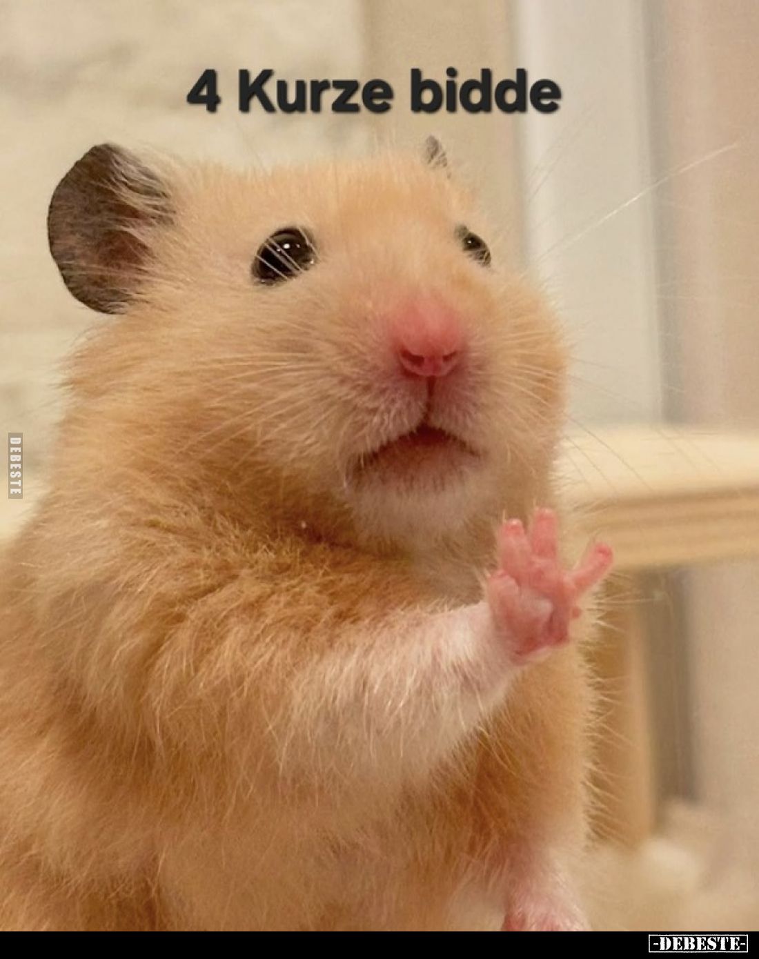 4 Kurze bidde