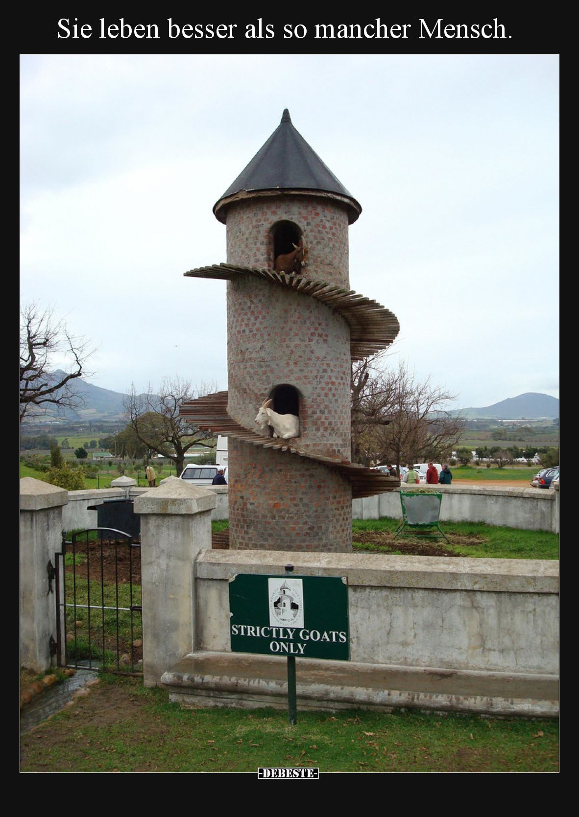 Sie leben besser als so mancher Mensch... - Lustige Bilder | DEBESTE.de