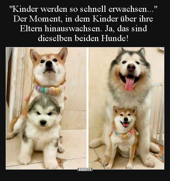 "Kinder werden so schnell erwachsen..." Der Moment, in dem..