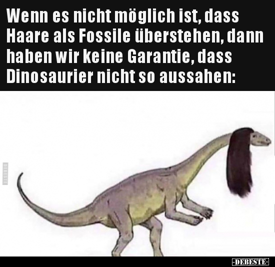 Wenn es nicht möglich ist, dass Haare als Fossile..