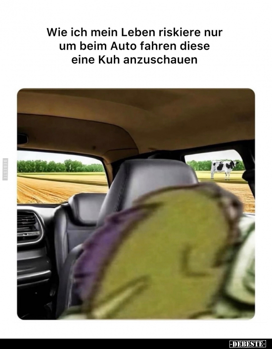 Wie ich mein Leben riskiere nur um beim Auto fahren diese.. - Lustige Bilder | DEBESTE.de