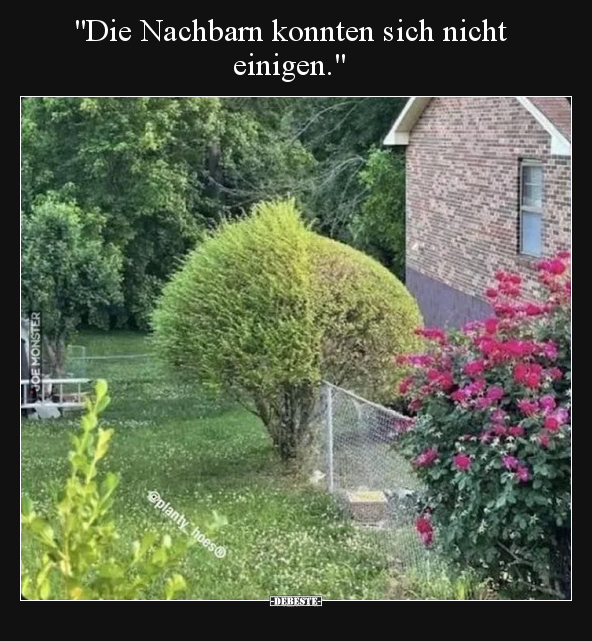 "Die Nachbarn konnten sich nicht einigen.".. - Lustige Bilder | DEBESTE.de