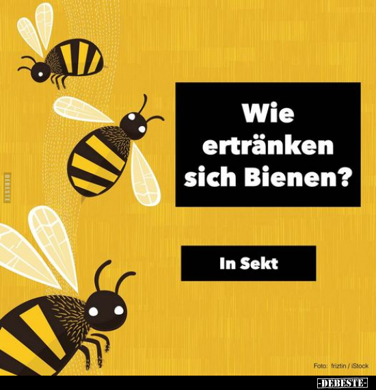 Wie ertränken sich Bienen?.. - Lustige Bilder | DEBESTE.de
