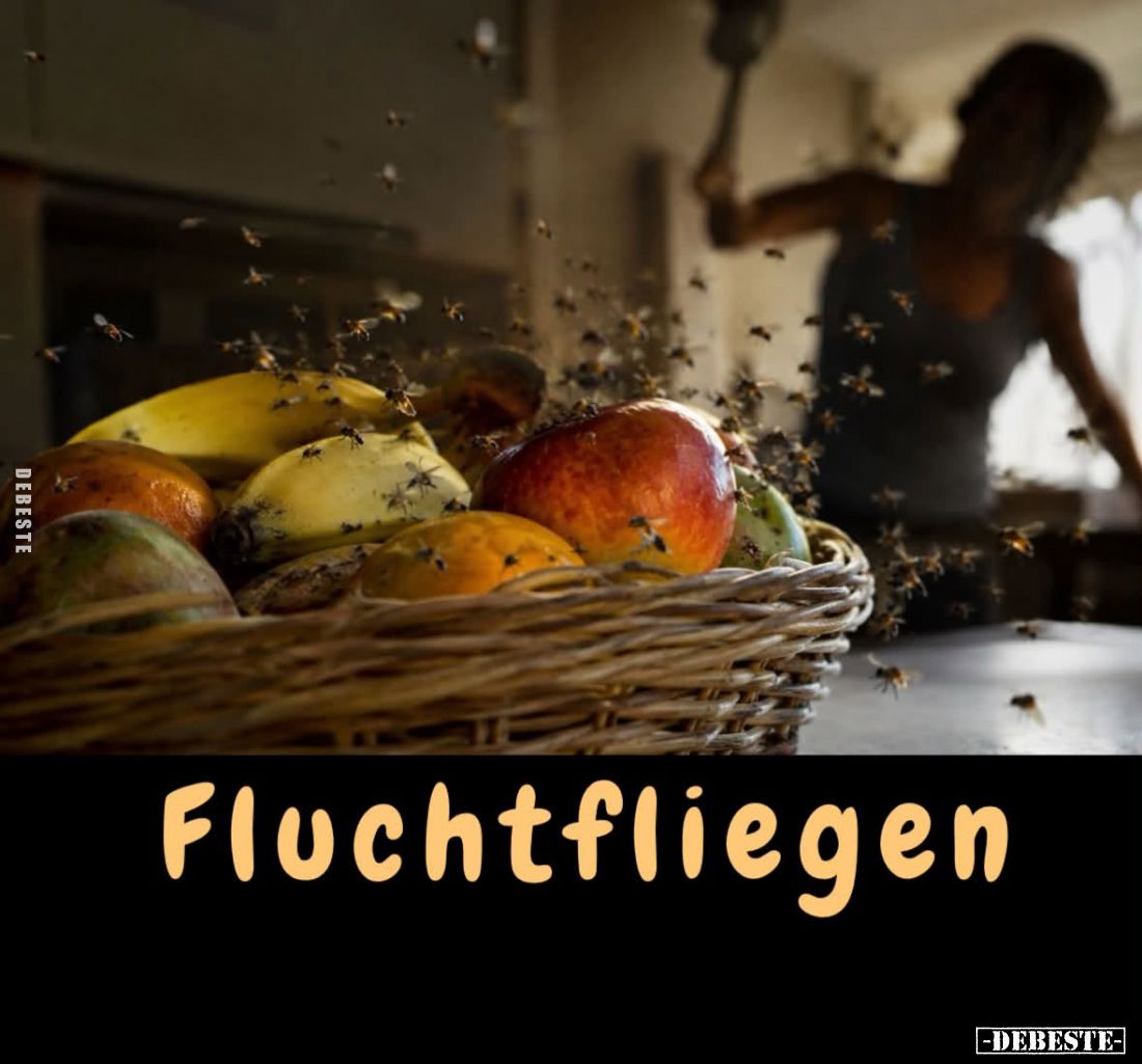 Fluchtfliegen.