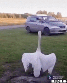 Oh, da bist du ja endlich... Wie war Ihr Tag?