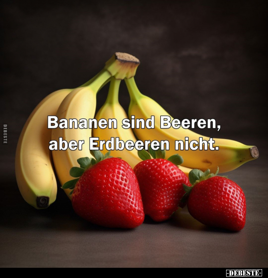 Bananen sind Beeren, en, aber Erdbeeren nicht... - Lustige Bilder | DEBESTE.de