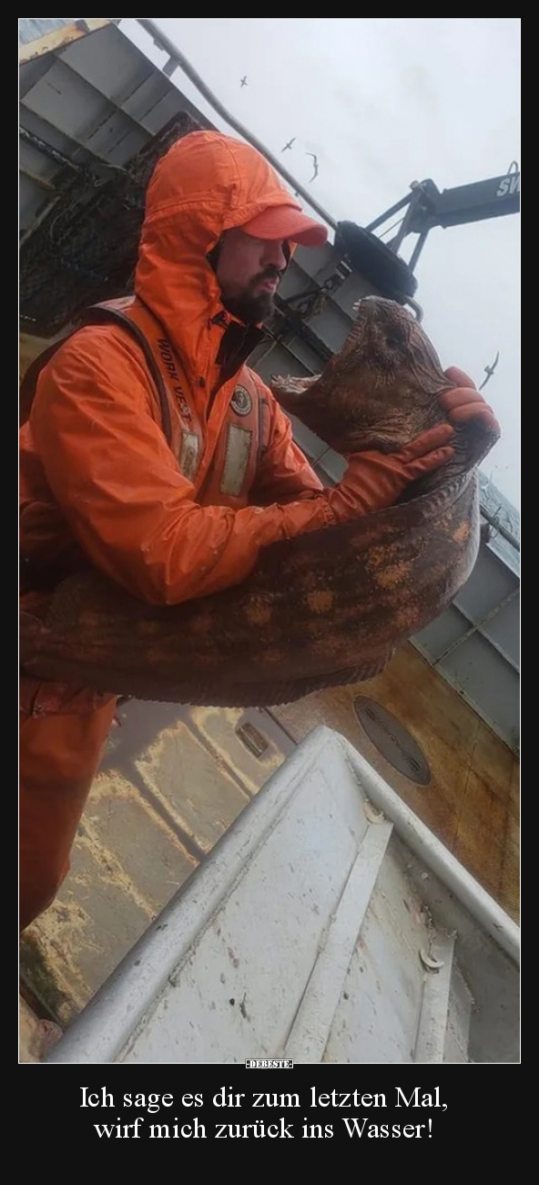 Ich sage es dir zum letzten Mal, wirf mich zurück ins..