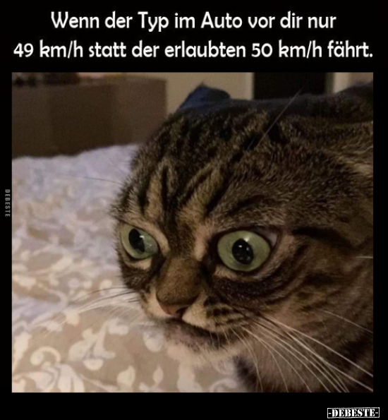 Wenn der Typ im Auto vor dir nur 49 km/h statt.. - Lustige Bilder | DEBESTE.de