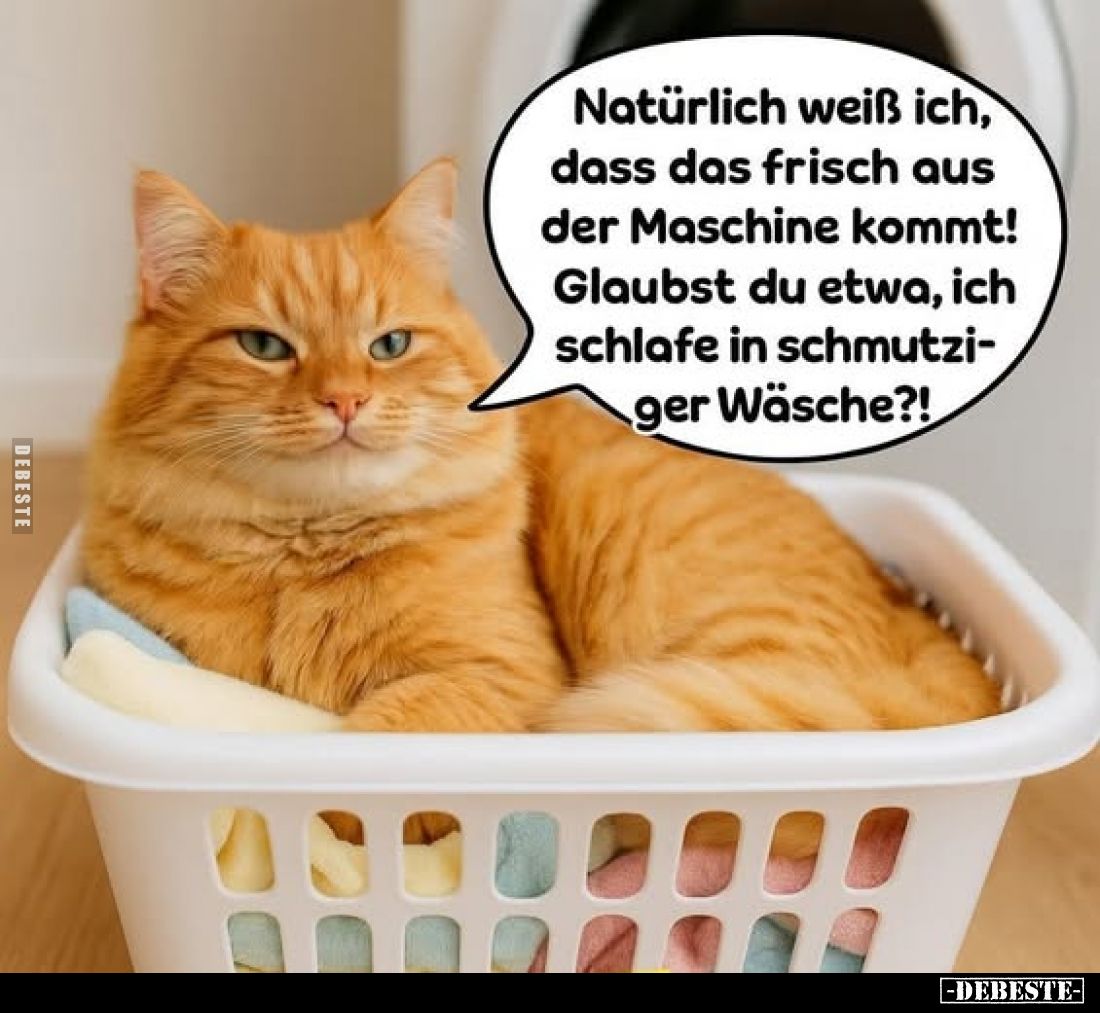 Natürlich weiß ich, dass das frisch aus der Maschine kommt! Glaubst du etwa, ich schlafe in schmutziger Wäsche?!