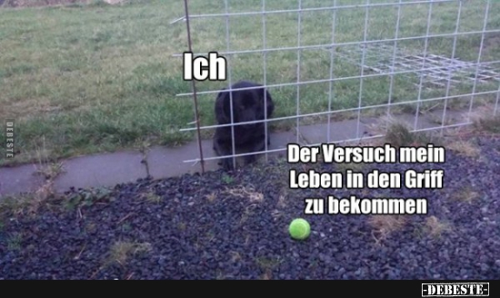 Ich / Der Versuch mein Leben in der Griff..