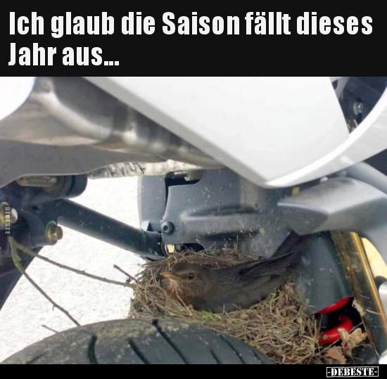 Ich glaub die Saison fällt dieses Jahr aus...