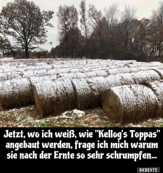 Jetzt, wo ich weiß, wie "Kellog's Toppas".. - Lustige Bilder | DEBESTE.de