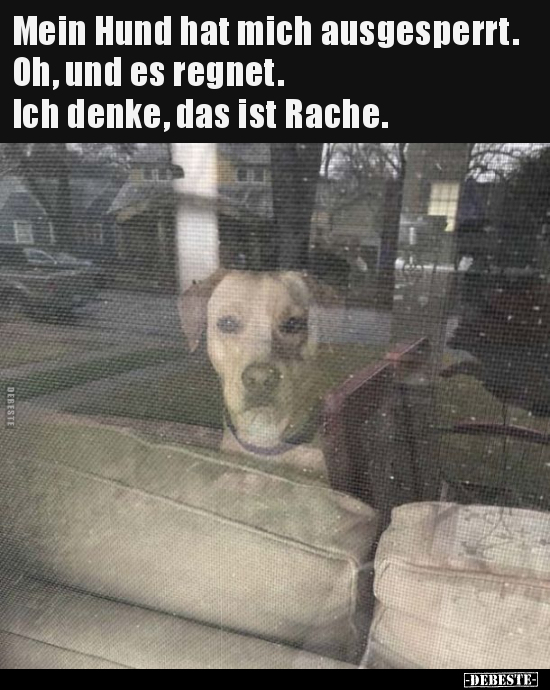 Mein Hund hat mich ausgesperrt. Oh, und es regnet... - Lustige Bilder | DEBESTE.de