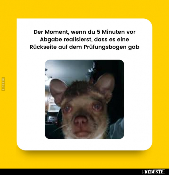 Der Moment, wenn du 5 Minuten vor Abgabe realisierst, dass.. - Lustige Bilder | DEBESTE.de