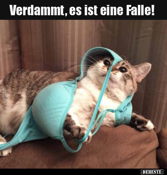 Verdammt, es ist eine Falle!