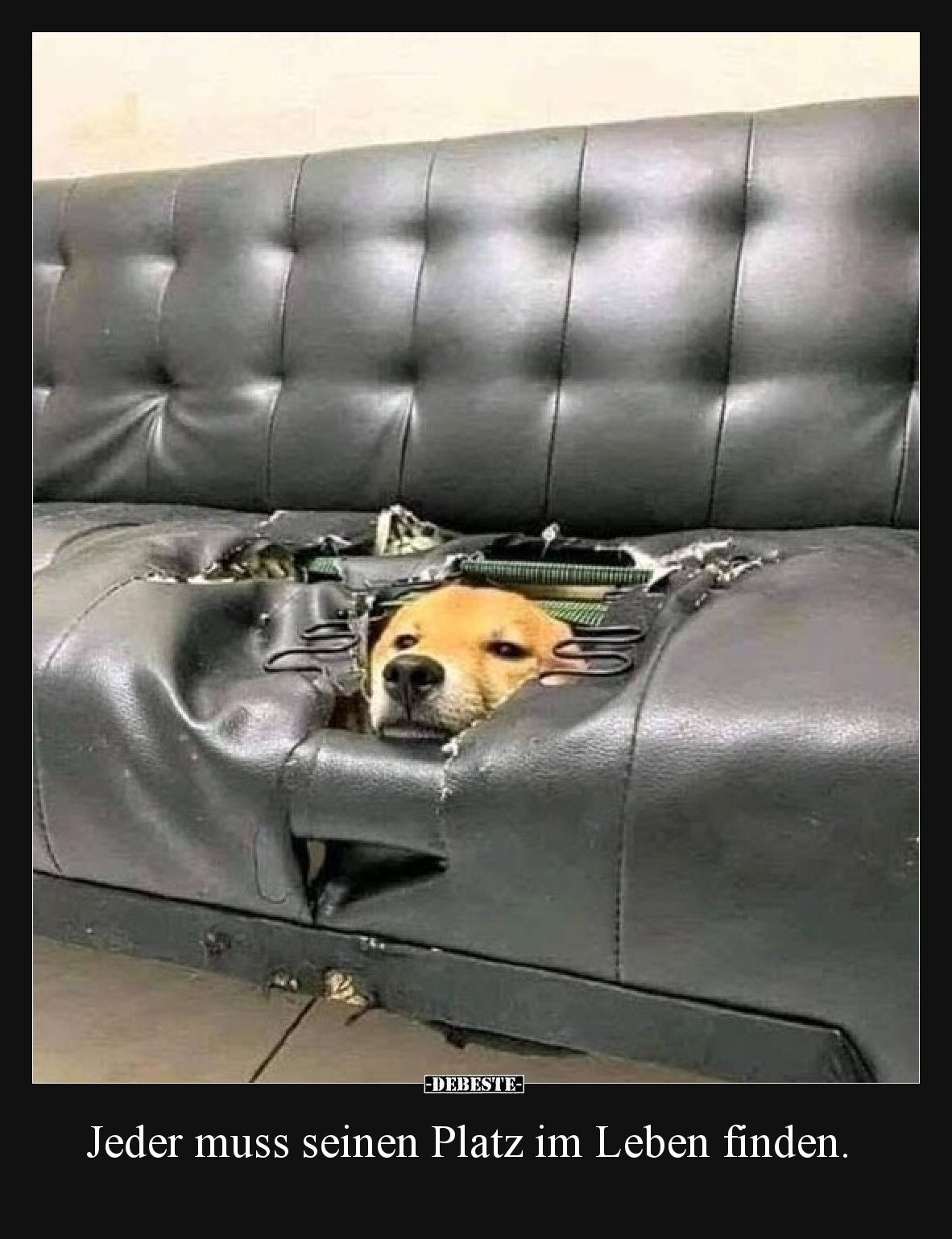 Jeder muss seinen Platz im Leben finden.