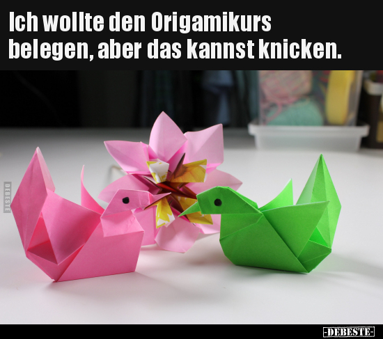 Ich wollte den Origamikurs belegen.. - Lustige Bilder | DEBESTE.de