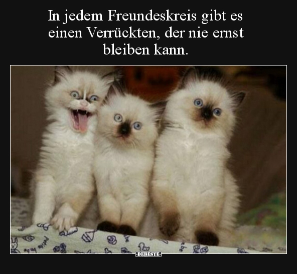 In jedem Freundeskreis gibt es einen Verrückten, der nie.. - Lustige Bilder | DEBESTE.de
