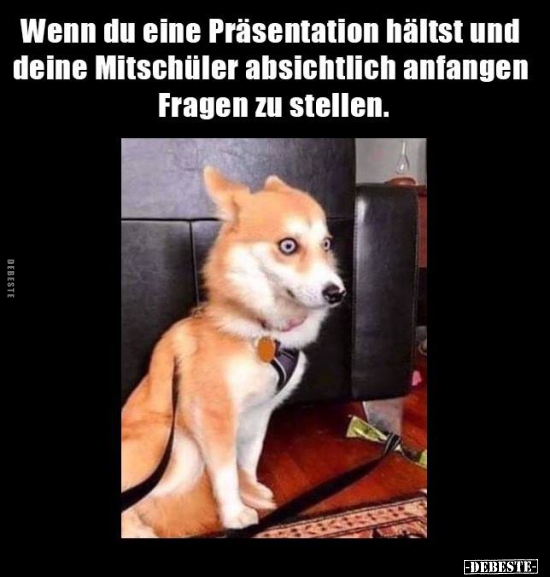 Wenn Du Eine Prasentation Haltst Und Deine Mitschuler Lustige Bilder Spruche Witze Echt Lustig