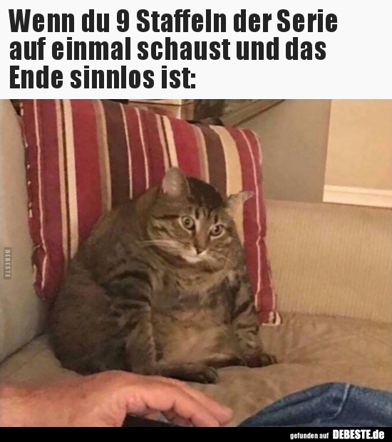 Wenn du 9 Staffeln der Serie auf einmal schaust und das..