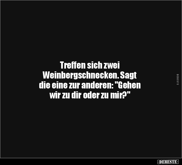 Treffen sich zwei Weinbergschnecken.. - Lustige Bilder | DEBESTE.de