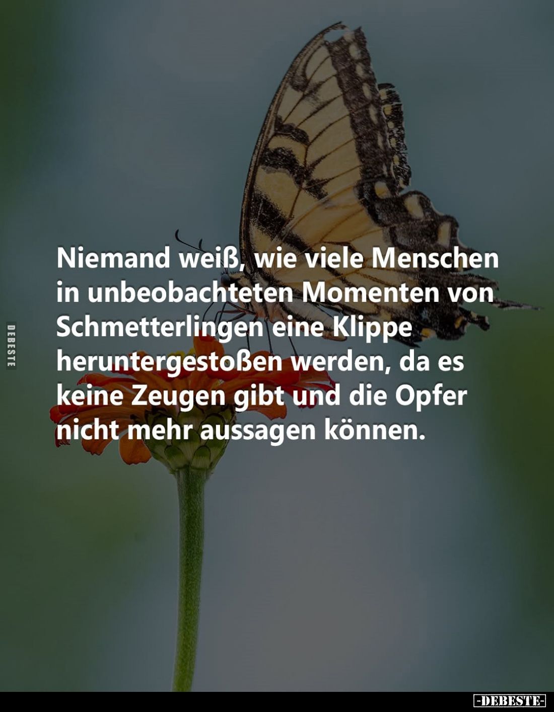 Niemand weiß, wie viele Menschen in unbeobachteten Momenten von Schmetterlingen eine Klippe heruntergestoßen werden, da es ke...