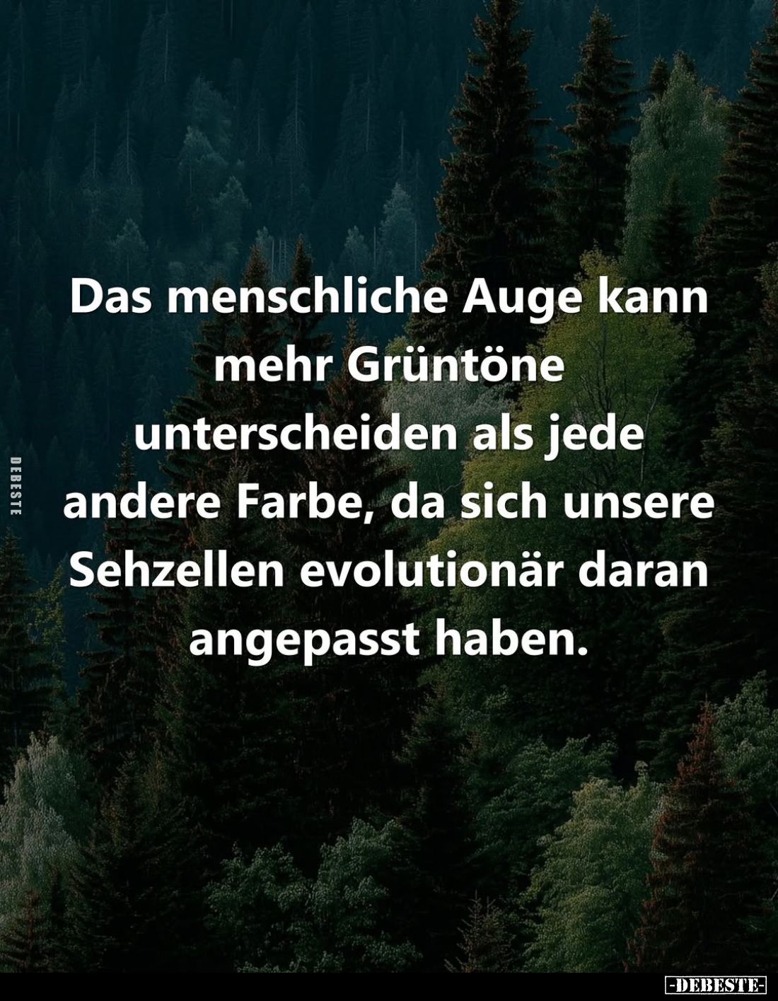 Das menschliche Auge kann mehr Grüntöne unterscheiden als jede andere Farbe, da sich unsere Sehzellen evolutionär daran angep...